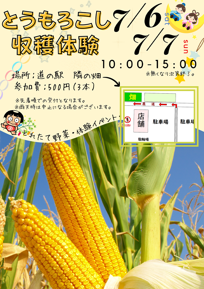 とうもろこし（ゴールドラッシュ）の収穫体験を開催します！