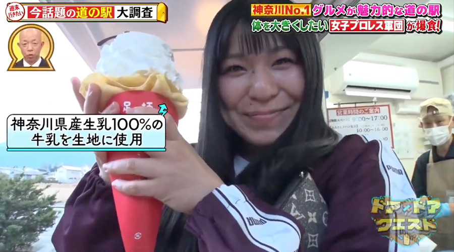 TBS「ドアドアクエスト」