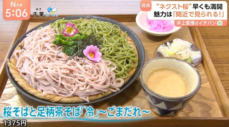 TBS「Nスタ」
